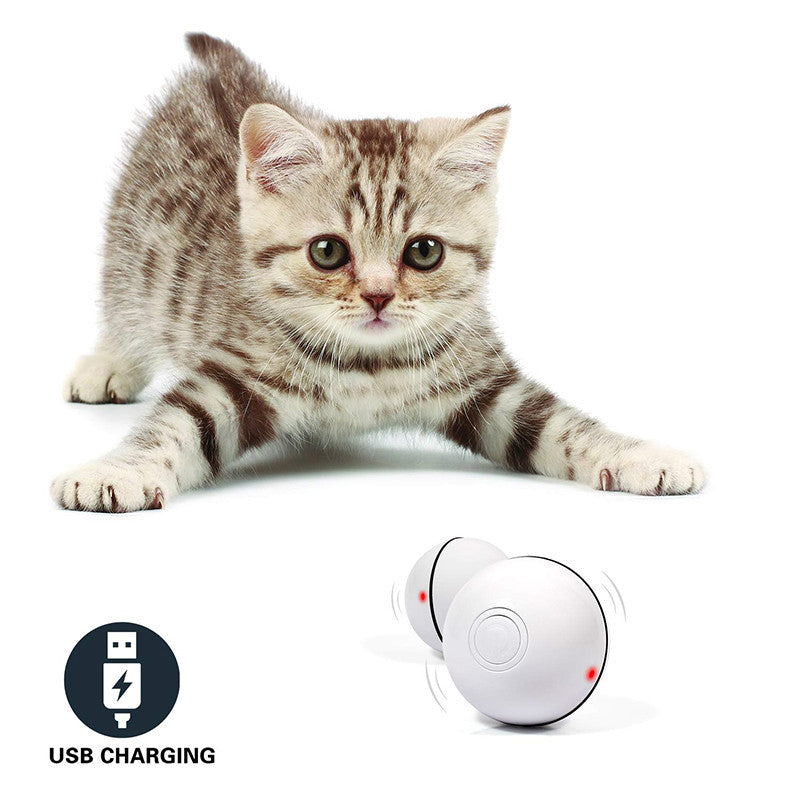 ChaseMate – Smart Rolling Ball for Cats - 4PawSpot