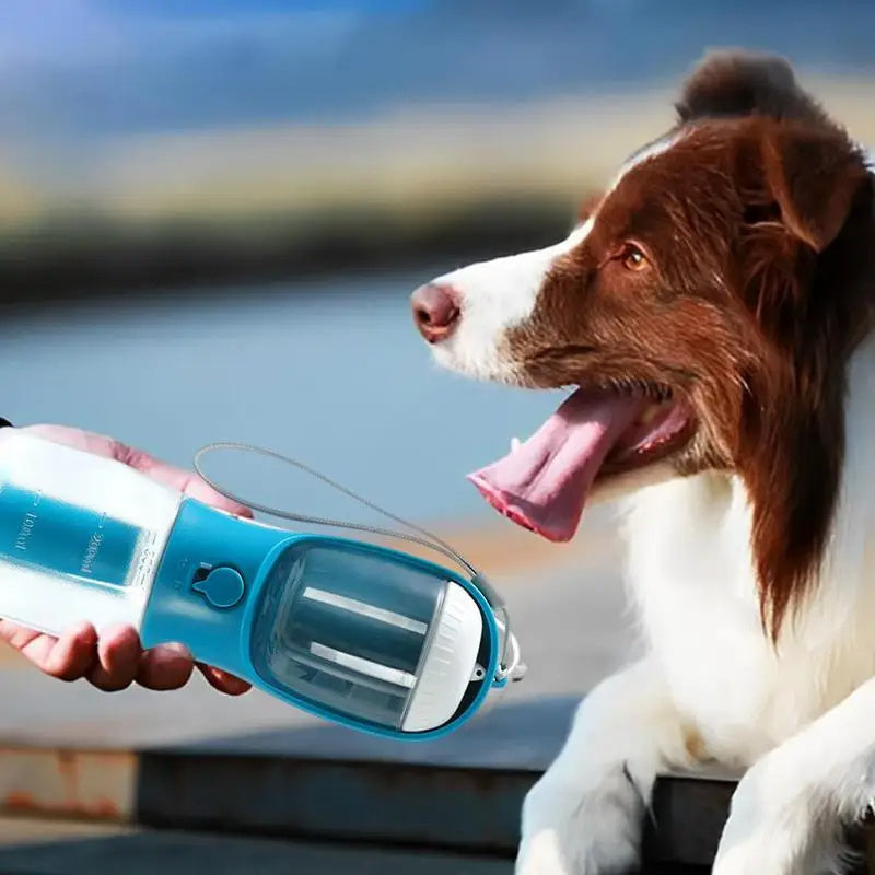 GoPup – 3-in-1 Travel Bottle for Pets - 4PawSpot