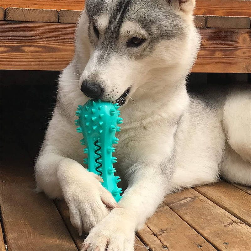 TuffBite X – Indestructible Dog Chew Toy - 4PawSpot