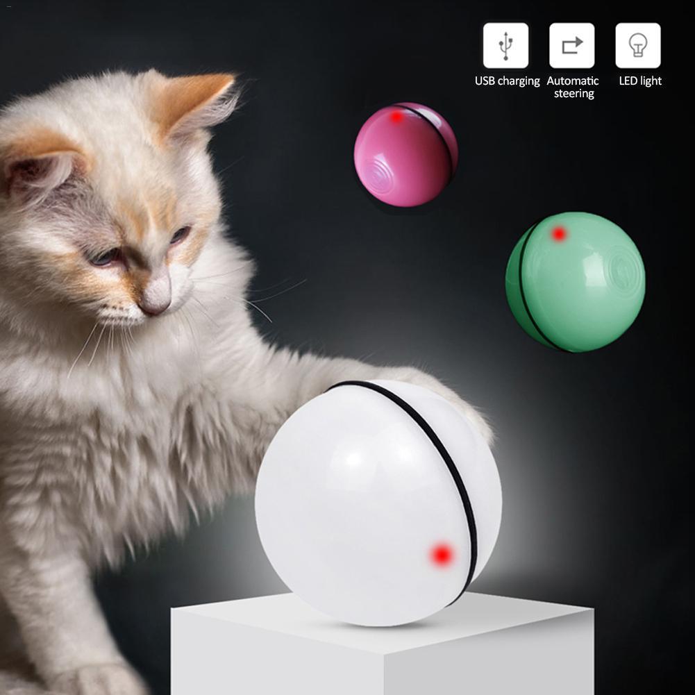 ChaseMate – Smart Rolling Ball for Cats - 4PawSpot